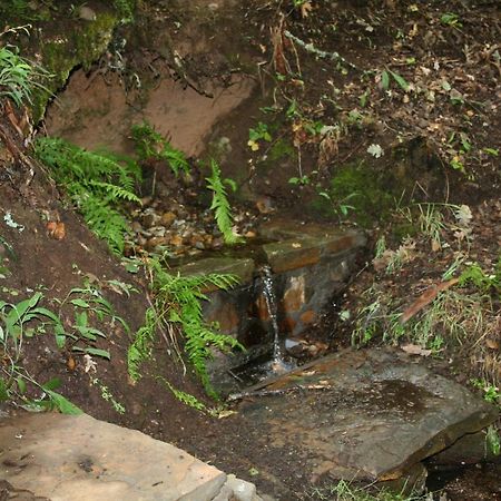 Casa Altobierzo, 9 Habitaciones Y 9 Banos Pobladura de las Regueras Zewnętrze zdjęcie
